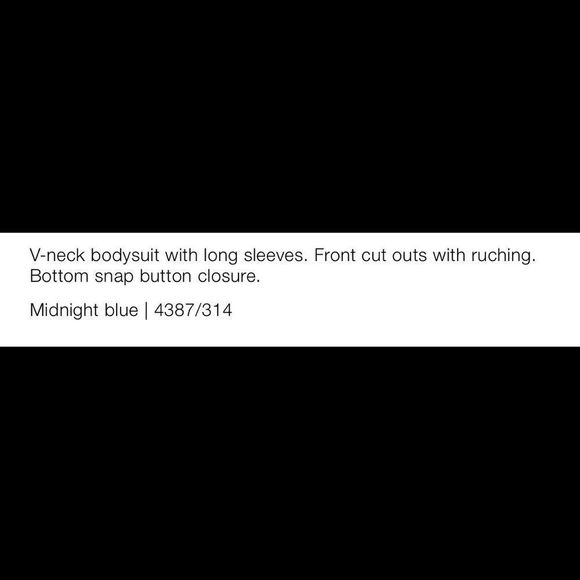 Zara Blue Metallic Bodysuit - Picture 7 of 7